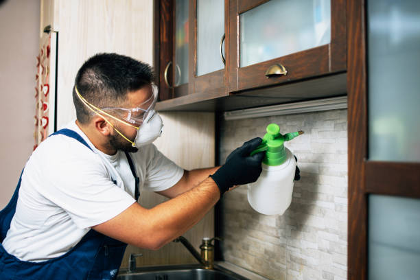 Best Affordable Pest Control Services  in East Quincy, CA