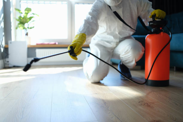 Best Local Pest Control Services  in East Quincy, CA